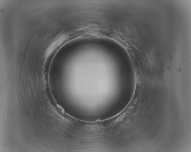 X0000071960245200607141441