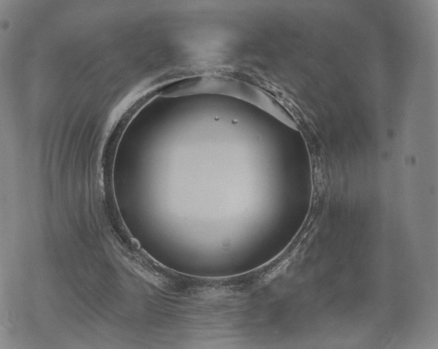 X0000071960246200607141441