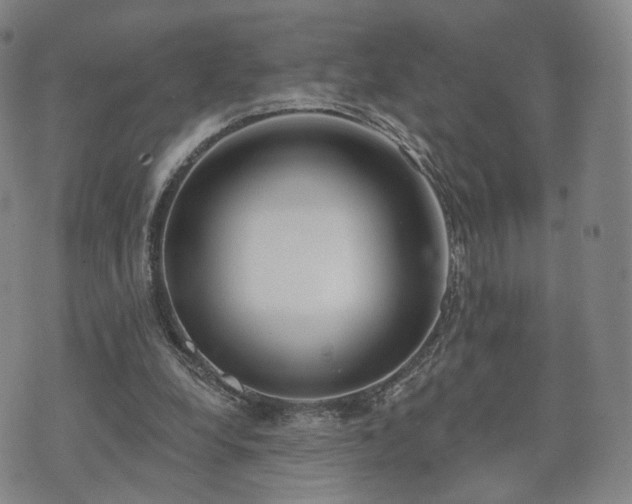 X0000071960248200607141441