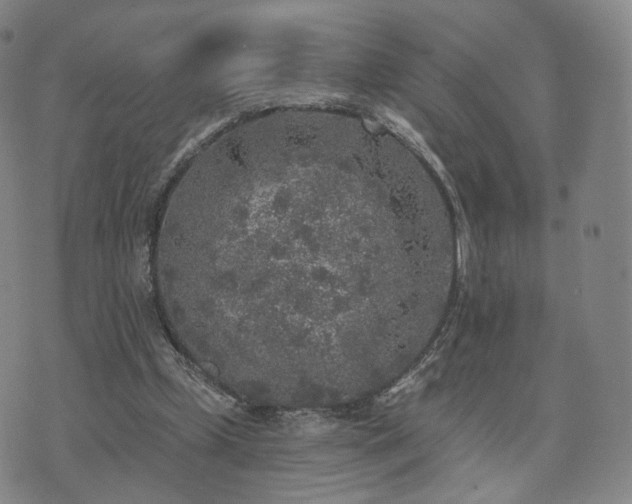 X0000071960249200607141441