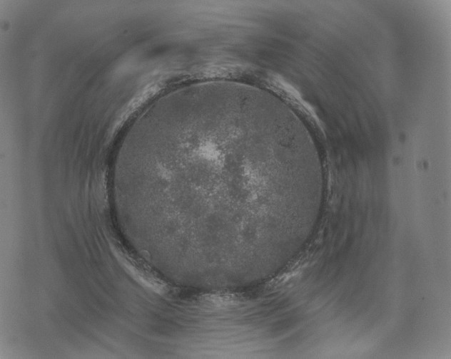 X0000071960250200607141441