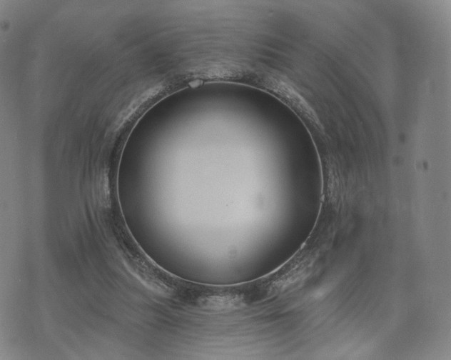 X0000071960251200607141441