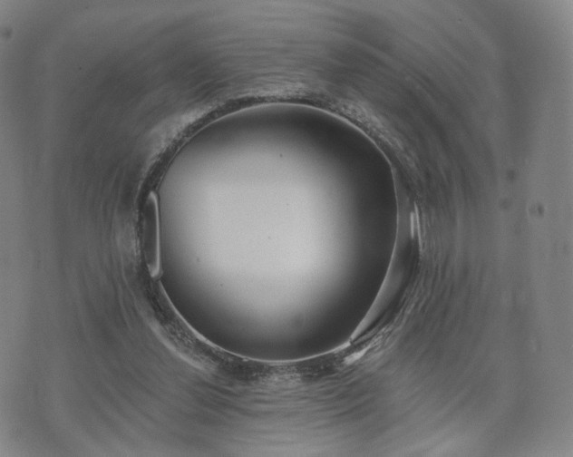 X0000071960252200607141441