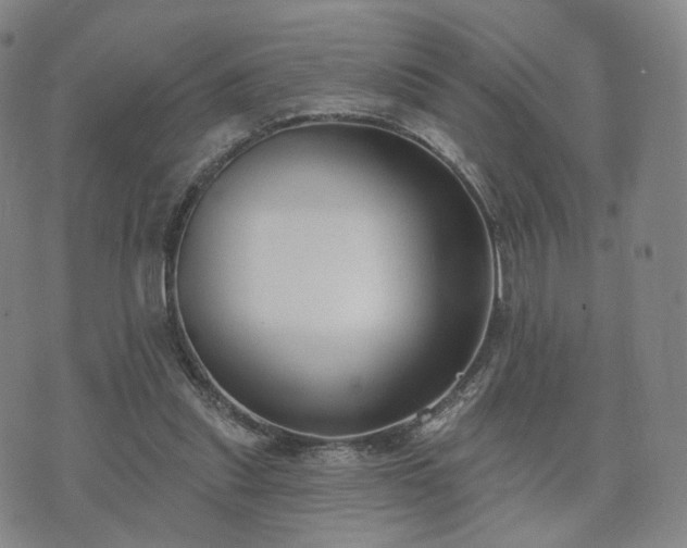 X0000071960253200607141441