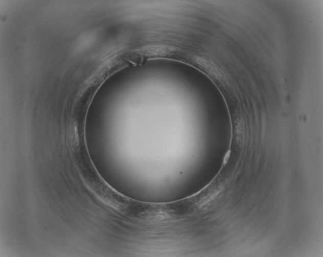 X0000071960254200607141442