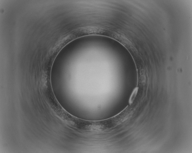 X0000071960255200607141442