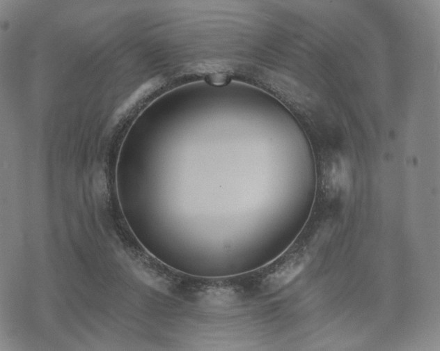 X0000071960256200607141442