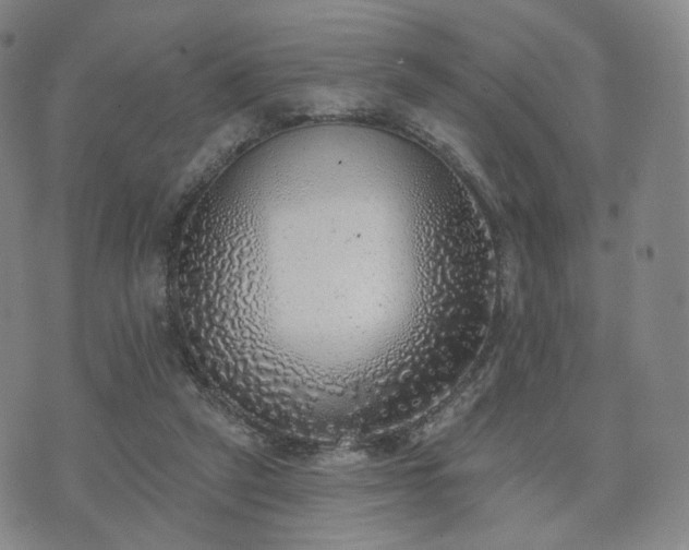 X0000071960257200607141442