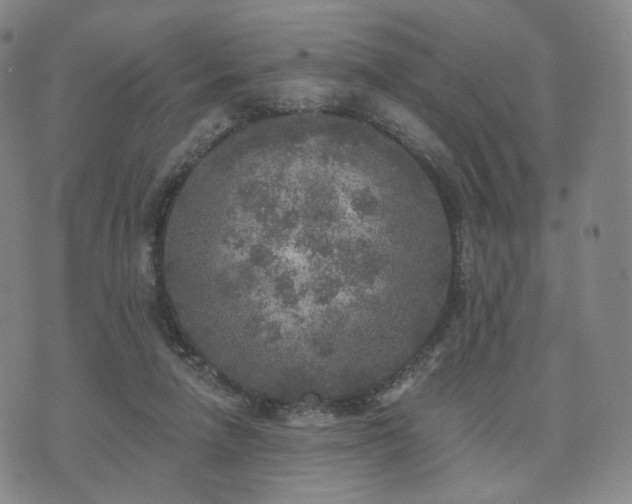 X0000071960258200607141442