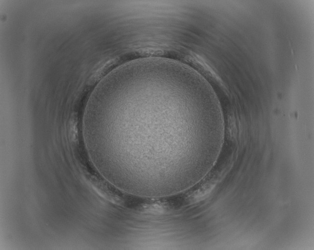 X0000071960259200607141442