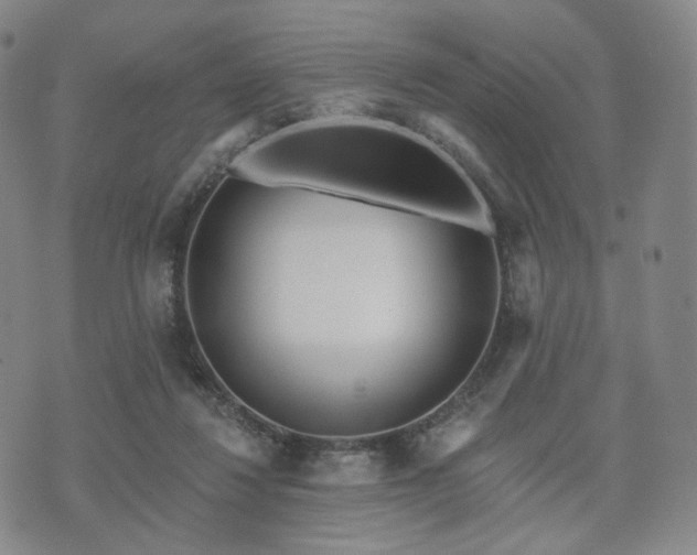 X0000071960260200607141442