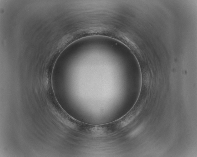 X0000071960261200607141442