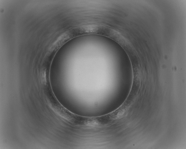 X0000071960262200607141442