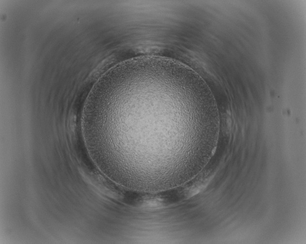 X0000071960263200607141442