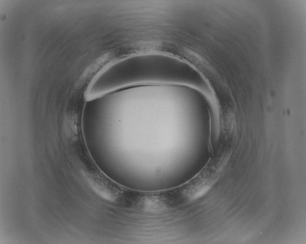 X0000071960264200607141442