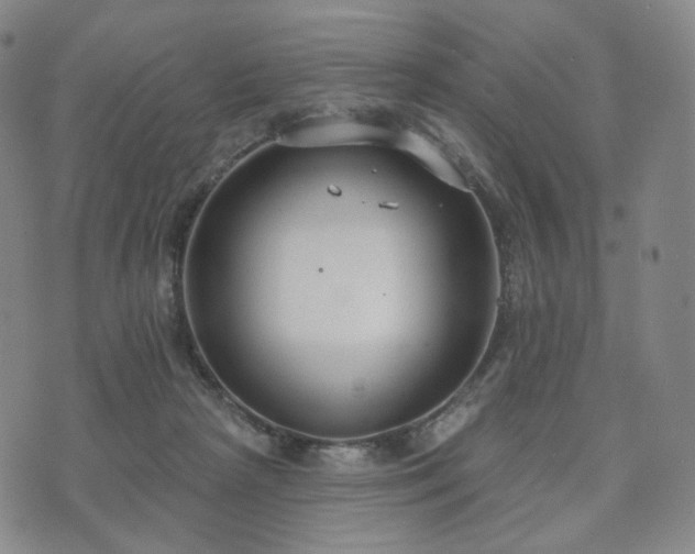 X0000071960265200607141442