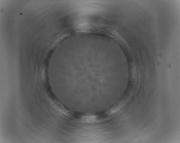 X0000071960266200607141442