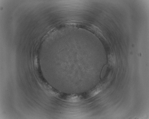 X0000071960267200607141442