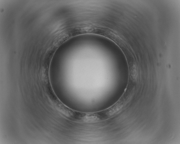 X0000071960270200607141442