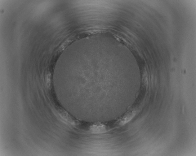 X0000071960271200607141442