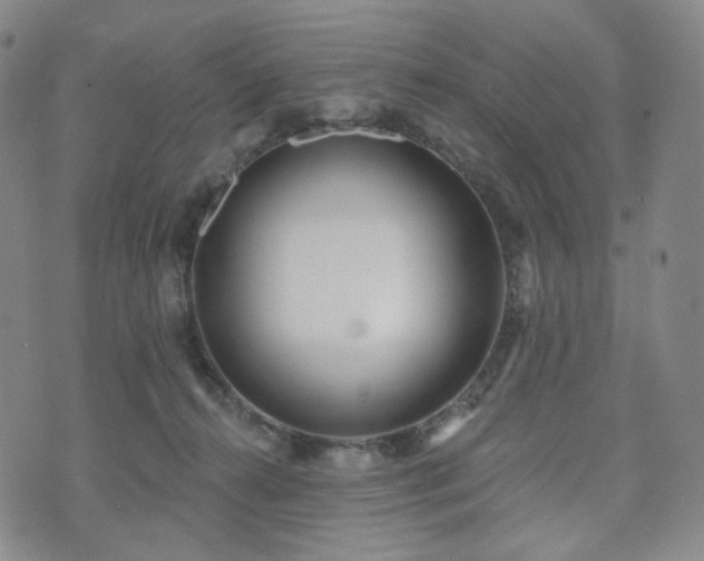 X0000071960272200607141442