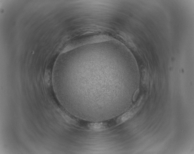 X0000071960273200607141442