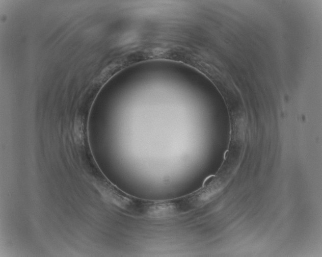 X0000071960274200607141442