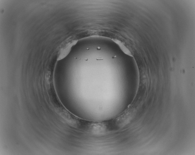 X0000071960275200607141442