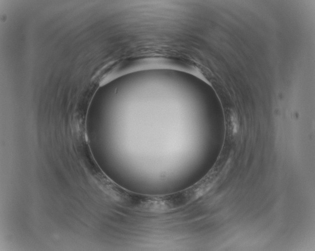 X0000071960276200607141442