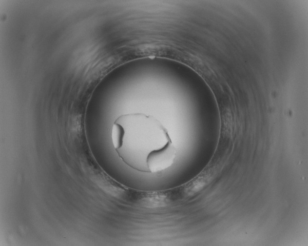 X0000071960278200607141442