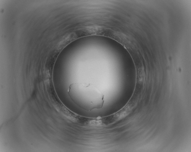 X0000071960279200607141442