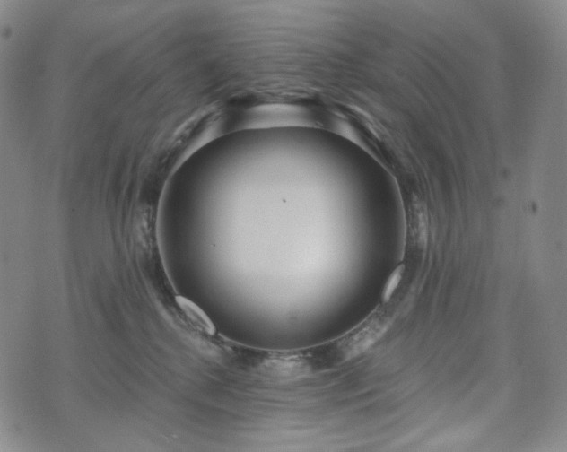 X0000071960280200607141442