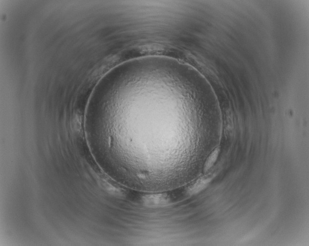 X0000071960281200607141442