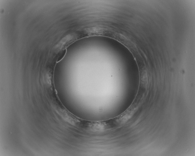 X0000071960282200607141442