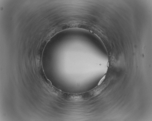 X0000071960283200607141442