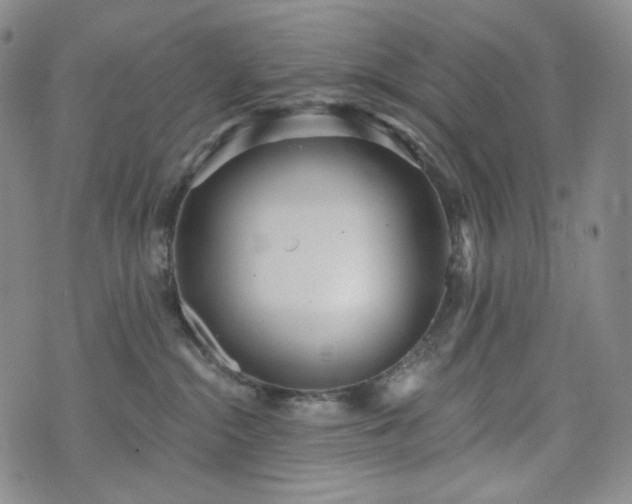 X0000071960284200607141442