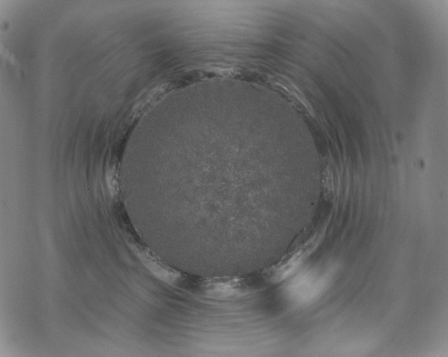 X0000071960285200607141442