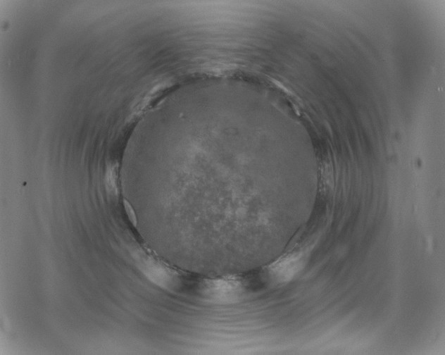 X0000071960286200607141442