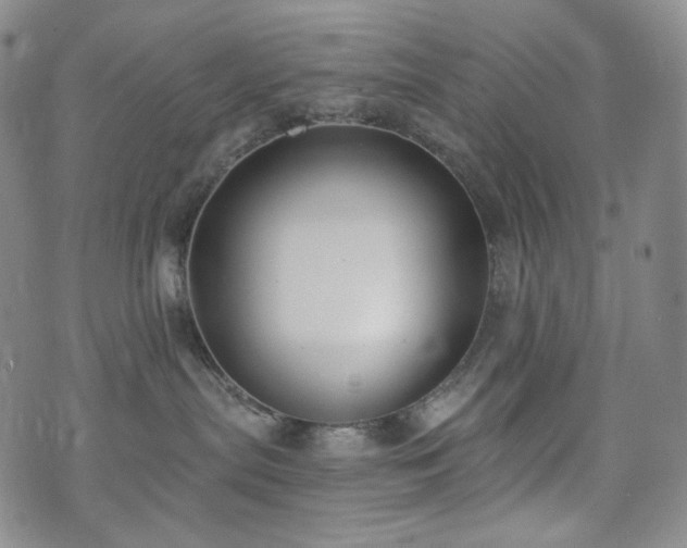 X0000071960287200607141442