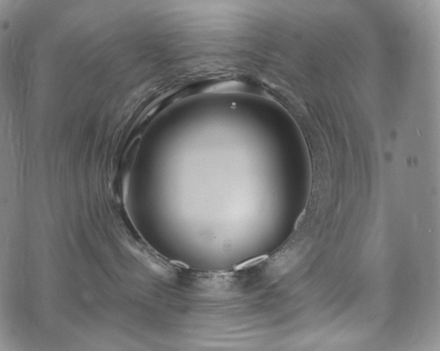 X0000071960288200607141442