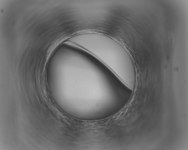 X0000071960289200607141441