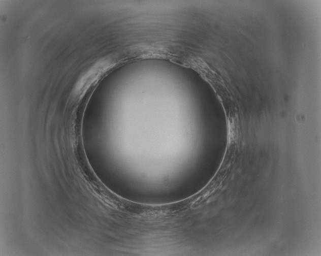 X0000071960291200607141441