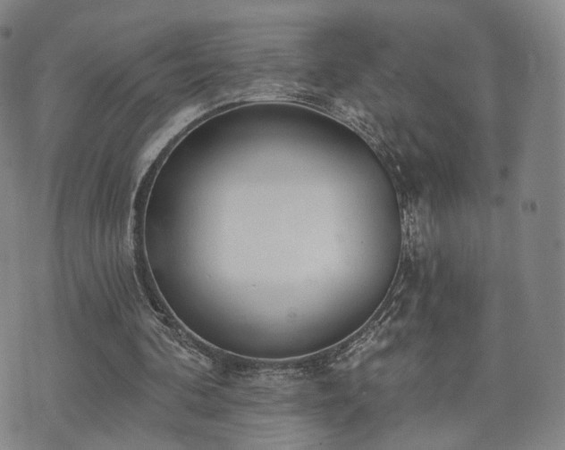 X0000071960292200607141441