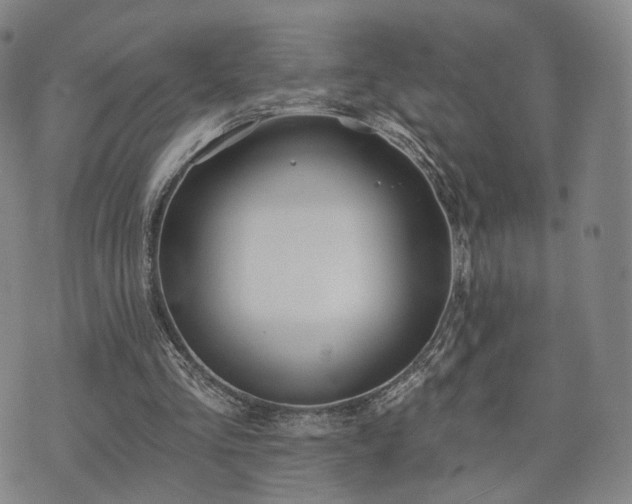 X0000071960293200607141441