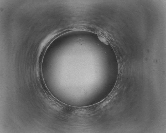 X0000071960294200607141441