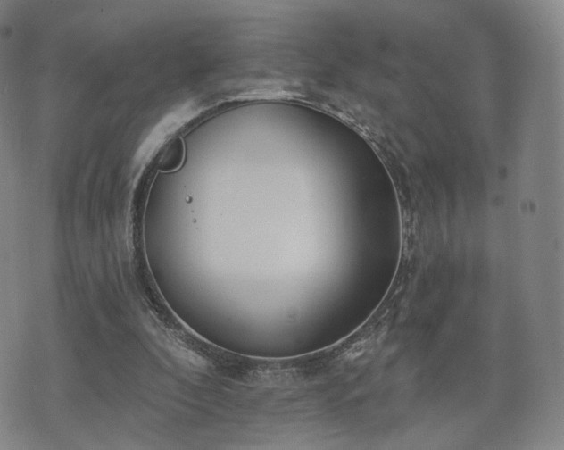 X0000071960296200607141441