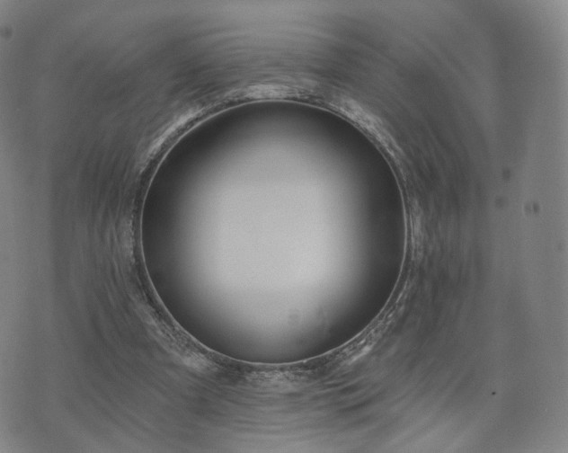 X0000071960297200607141441