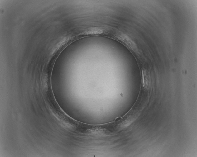 X0000071960300200607141441