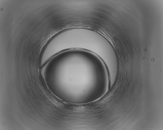 X0000071960301200607141441