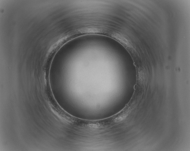 X0000071960302200607141441